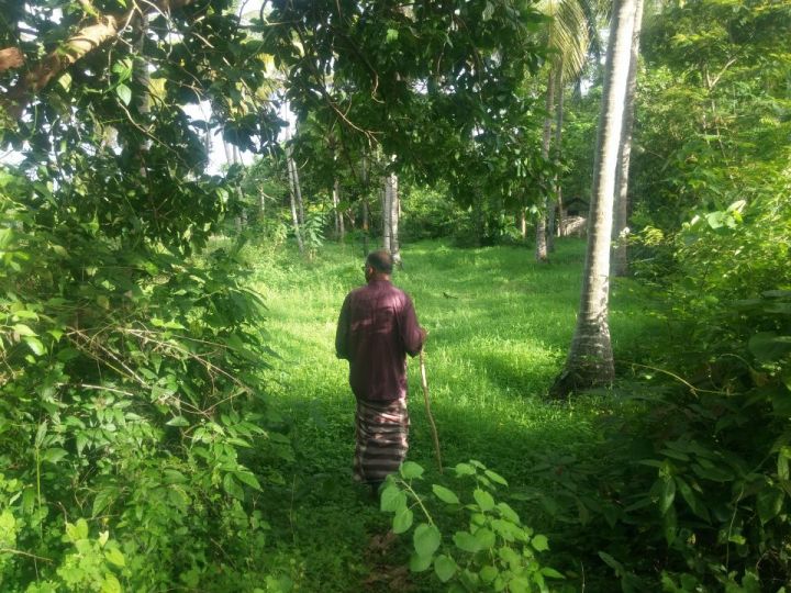 Approx 70 cents of ideal residential land in Tavanur, Malappuram