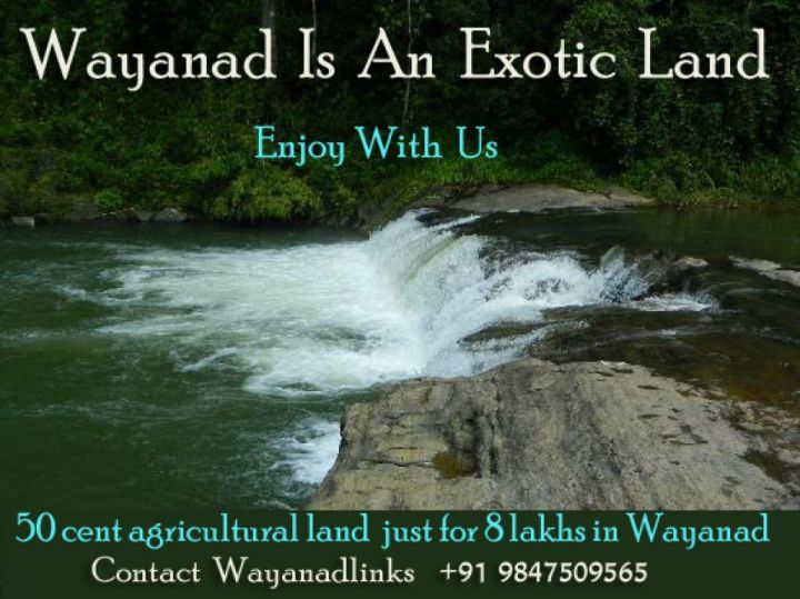 50 cent agricultural land just for 8 lakhs in Wayanad Wayanadlinks