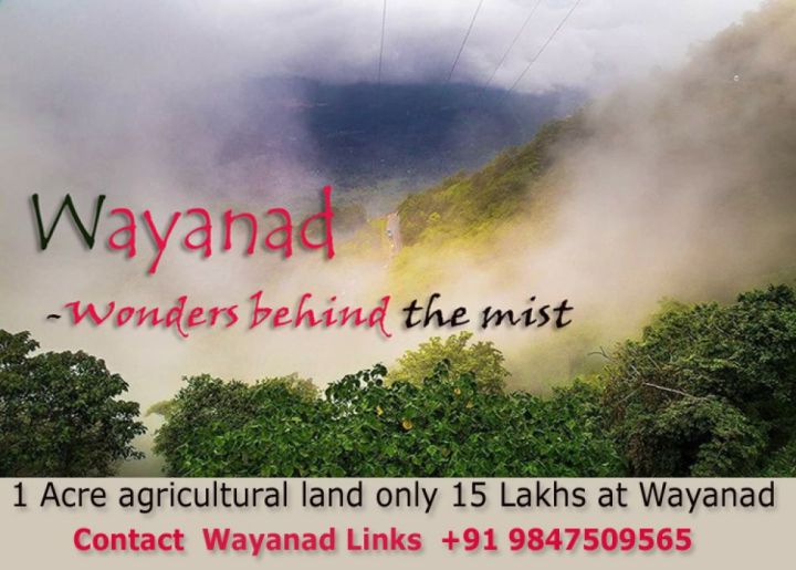 1 Acre agricultural land for sale at Kenichira Wayanad just 15 Lakhs