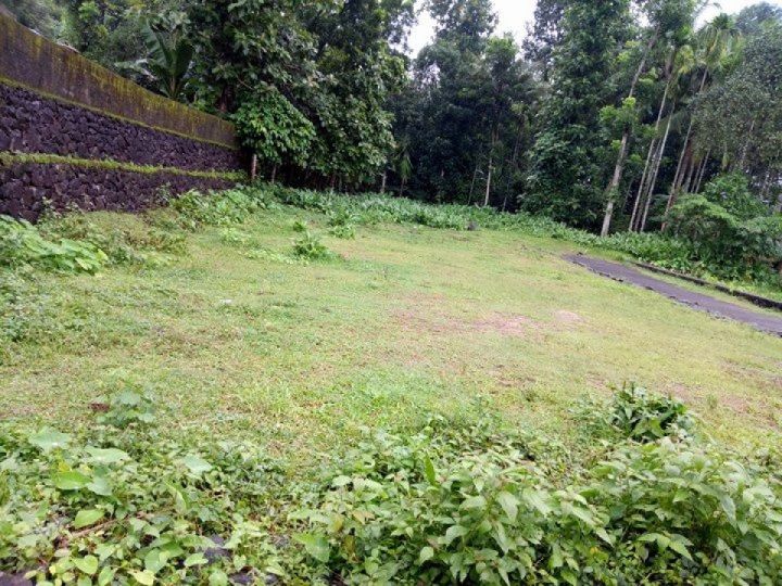 7 cent of land in chottanikkara  for sale