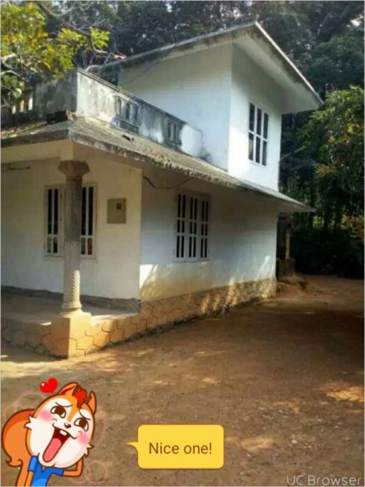 house for sale 56cents of land in changur,pathanapuram