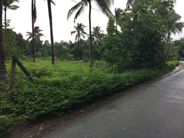 15 cents of land in near Kozhinjampara