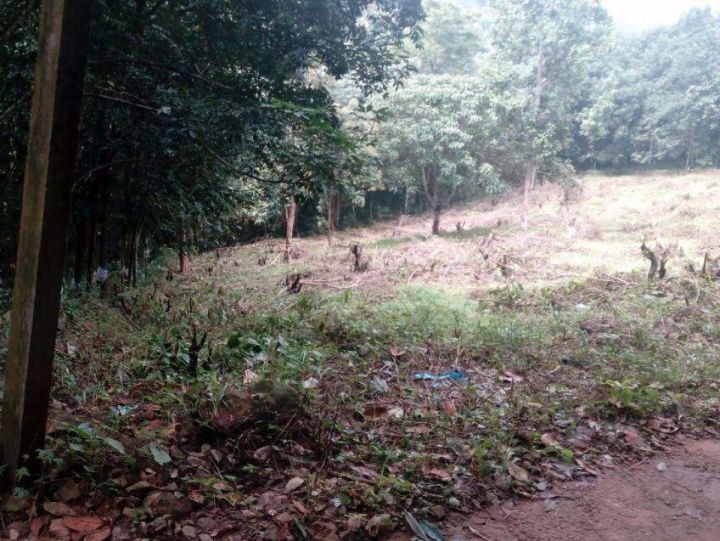 Plot for sale in Chellakadu,Ranni