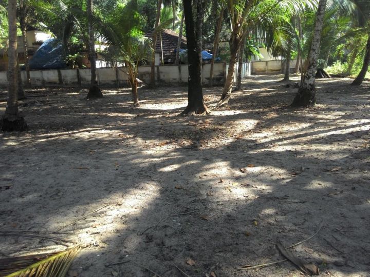 12 cents of land in Pookkulam guruvayoor