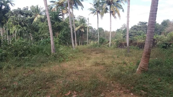 (9 ground approx 50 cent) Cherupoika, Pavithreswaram village, Kottarakkara Talk, Kollam