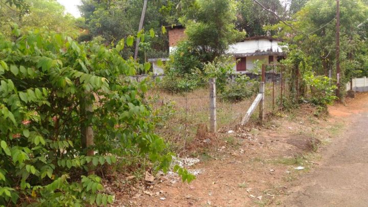 10 CENT RESIDENTIAL LAND FOR SALE IN ARANATTUKKARA