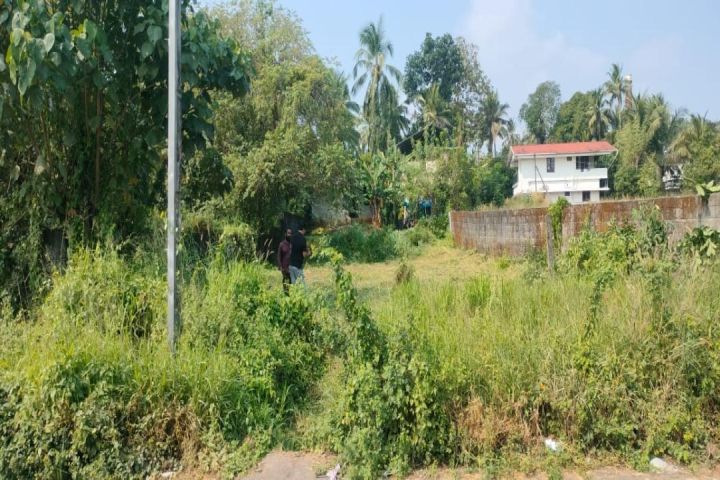 Commerical Land for sale in Kuttanellur,Thrissur.