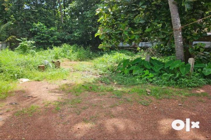 Residential land for sale in kuttoor,near Naithalakkavu Temple,Thrissur