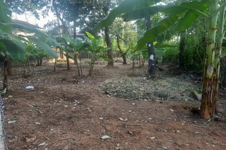Residential land for sale in Kolazhy, Thrissur.