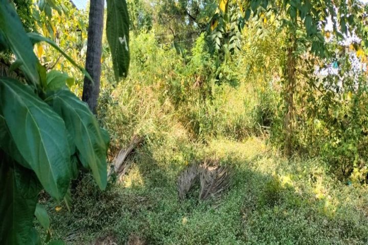 Residential Land for sale in Peringav Center, Thrissur