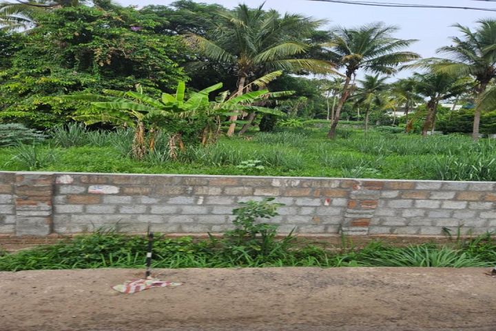 Land(paramb) for sale in Marathakkara, Thrissur. ndia