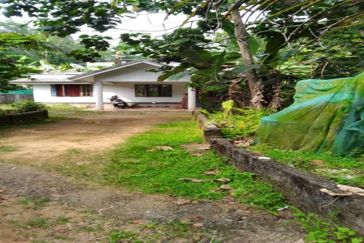 10 cent With house in kuruppampady vengoor Ernakulam
