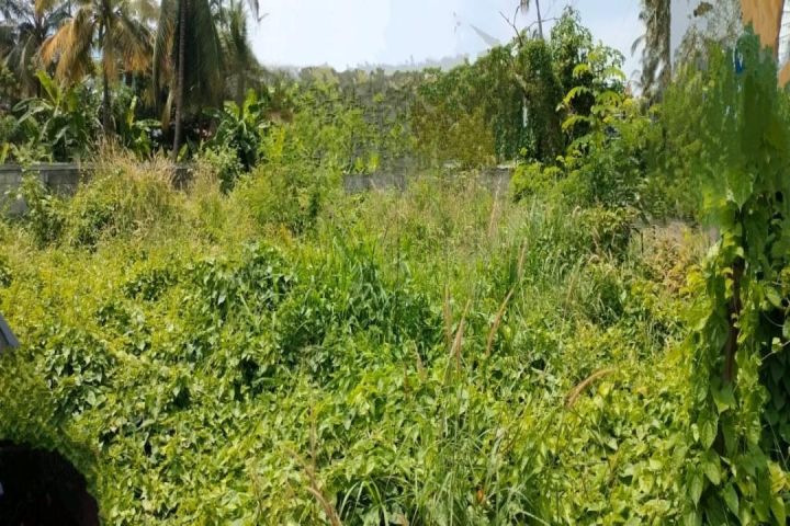 Commerical Plots-9,10,30 cent for sale near Vadakke Bus stand,Thrissur.