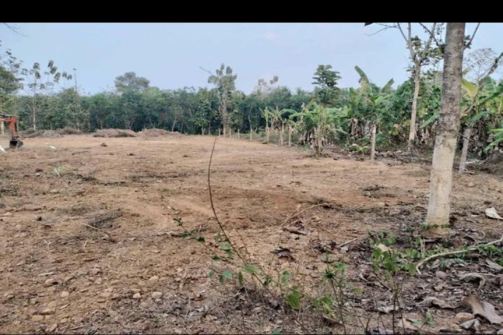 58 cent plain land in Peruva