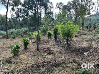 Versatile 50-Cent Plot with Prime Highway Frontage!