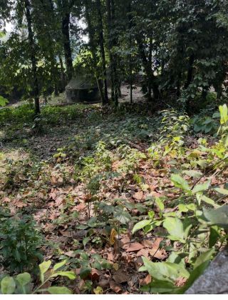 Land for Rent. 9 cents of land…on highway enroute St George Orthodox Church