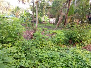 20 cent of plot for sale at nayarambalama Ernakulam