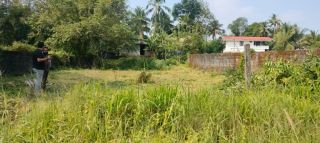 15 cent Land for sale in Kuttanellur,Thrissur