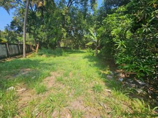 The residential land for sale at Olari, chettupuzha, Thrissur.