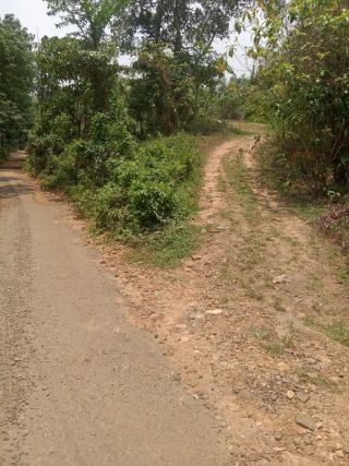 Kottayam Jillayil Kidangoor Kummannoor Pala Ruttil
