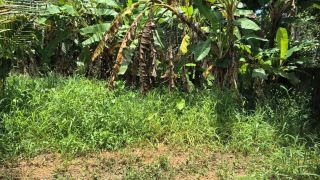 PLOT FOR SALE IN MULANTHURUTHY
