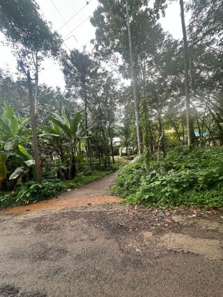 50 cent residential land for sale near Adoor