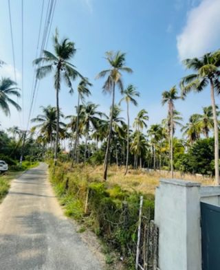 7 cent plot for sale in guruvayoor