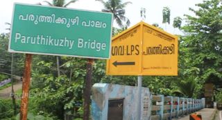 Land for sale - 115 cents - Trivandrum District