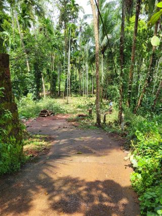 Ideal for home -22 cent land for sale