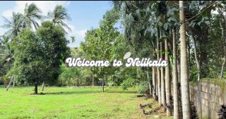 Residential Property Near Kozhencherry-Pathanamthitta Highway (Nellikala)