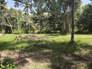 20 cent plot for sale in ochira