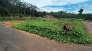 50 Cent Land for Sale, Mulanthuruthy, Ernakulam - Residential Plot