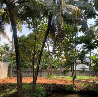 Thammanam, Pallath Road - 16 cent residential land for sale.