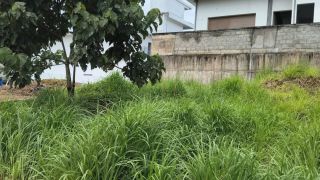 PLOT FOR SALE IN CHOTTANIKARA , VATTUKUNN