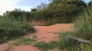 PLOT FOR SALE IN  Pulikkamali ( പുളിക്കമാലി )MULANTHURUTHY,