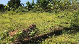 6 Cent Residential Land for Sale in Arayankavu, Ernakulam