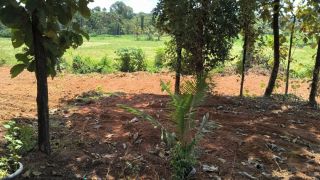 Residential Plot for Sale, Mulanthuruthy, Ernakulam