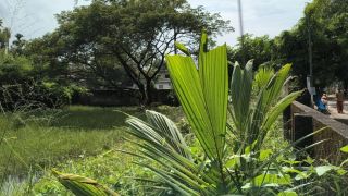 PLOT FOR SALE IN KUNDANOOR , HIGHWAY 66, 10 CENT