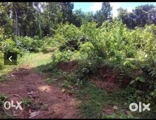 Agricultural /residential land for sale