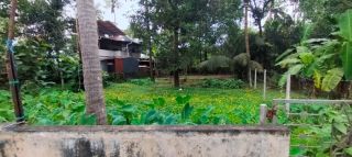 Residential Land for sale in Mukkattukara, near church Thrissu