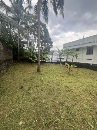 3.75 cents - Urgent sale negotiable