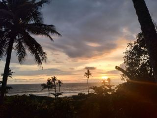 40 Cent beach facing Land for Sale, Thazhe Vettoor,Varkala, Thiruvananthapuram