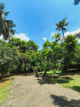 Residential & investment suitable plots for sale @ THRISSUR