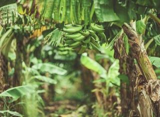 46 Cent Residential Land for Sale - Prime Plot Opportunity