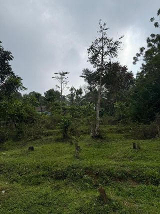 57 Cent Land Sale - Residential Plot Opportunity