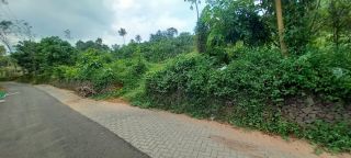 1 Acre 52 Cent for Sale , Ramamangalam Panchayat, Kizhumuri, Ernakulam