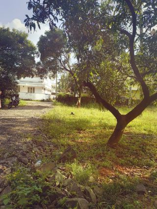 ollukara land for sale in thrissur. Nearby by all facilities