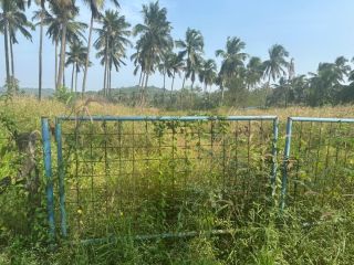 Land-5.5 acres for sale in Kolazhy, Thiroor, Thrissur.