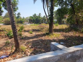 Residential  Land in Arimbur 85 cents close to Ship church Eravu