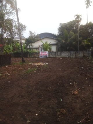 18 cents of land in L shape back side of St. Mary's Syro-Malabar Church, Moozhikulam